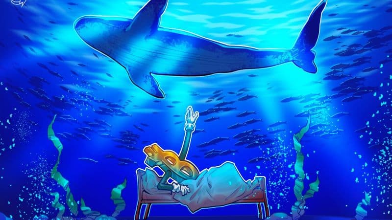 Binance Records Bitcoin Outflows While Whales Boost Stablecoin Deposits