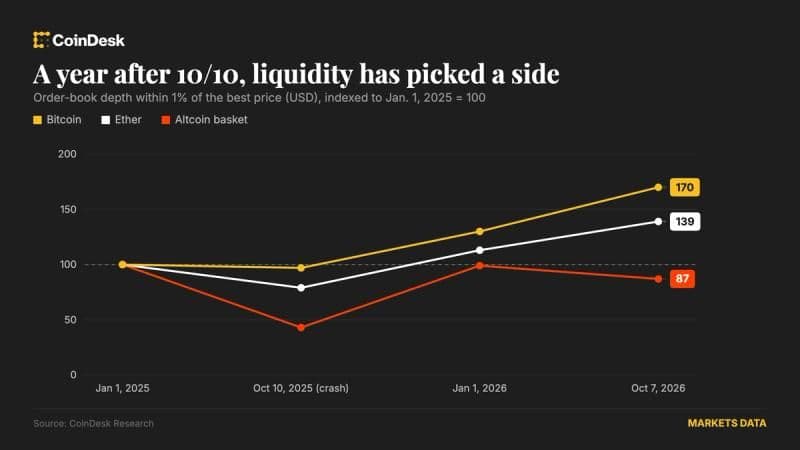 Bitcoin and Ether Liquidity Rebounds While Altcoins Slip One Year After Flash Crash