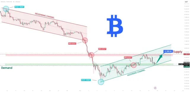 Bitwise and Vise Team Up to Embed Crypto Strategies in Advisor-Managed Portfolios