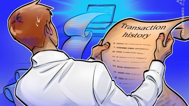 Zano Rewinds a Month of Chain History After Gateway Address Exploit